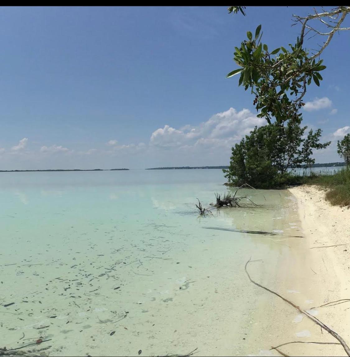 Casa Vive Bacalar Bed & Breakfast エクステリア 写真